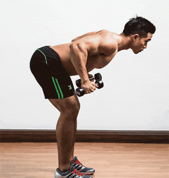 Standing Bent-Over Two-Arm Dumbbell