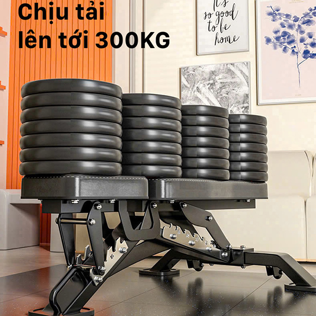 Ghế tập tạ Kingbox JL018 chịu tải 300kg