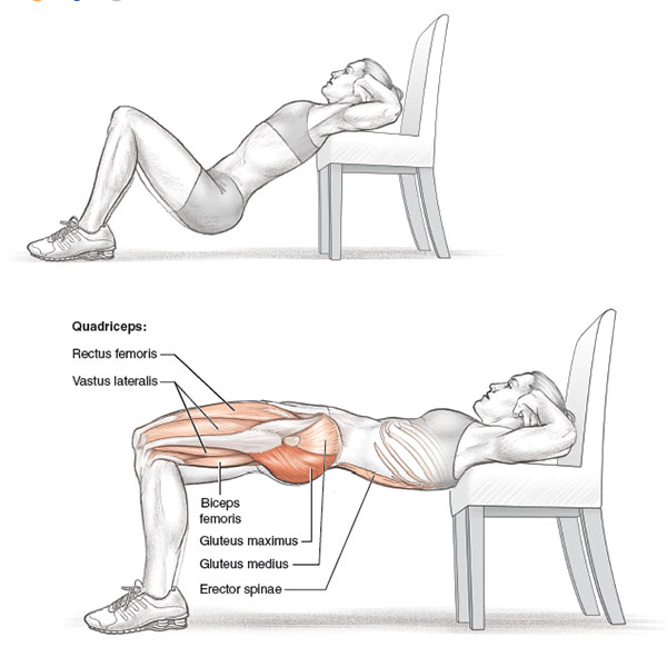 Hip Thrust