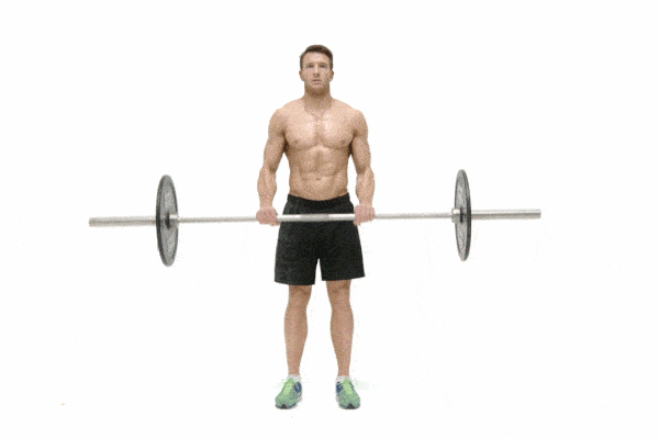 Reverse Barbell Curl