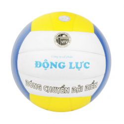 Quả bóng chuyền bãi biển DLB 230C