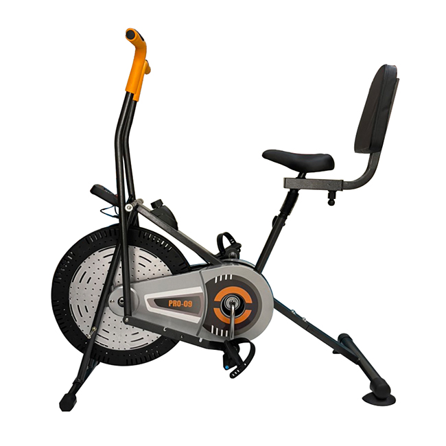 Xe đạp tập thể dục Pro Fitness Pro-09