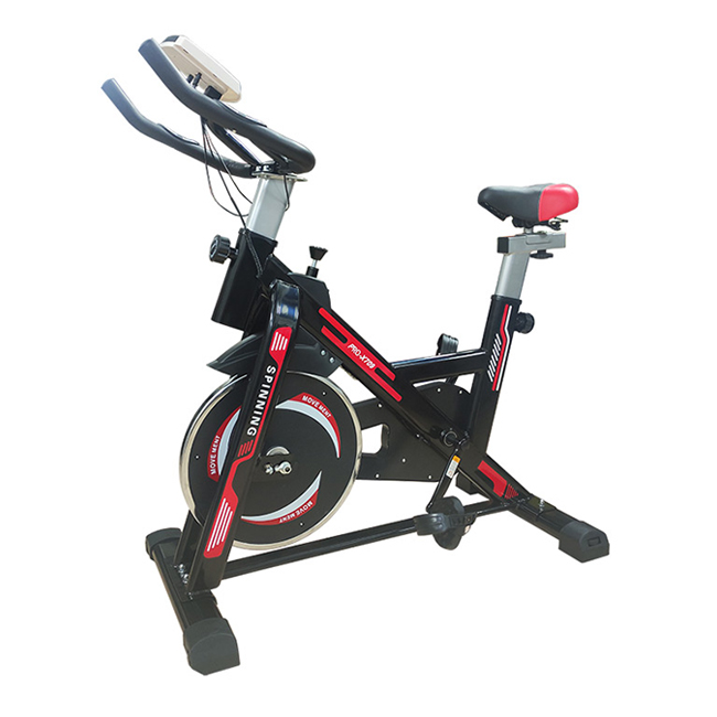 Xe đạp tập thể dục Pro-X709
